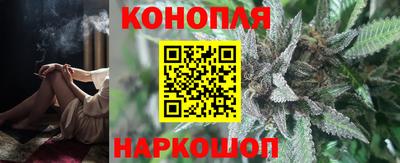 индика Аргун