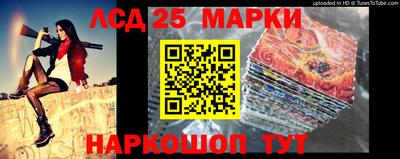 индика Аргун