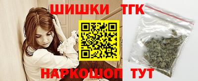 индика Аргун