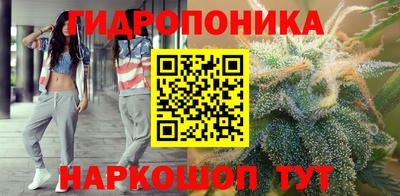 мдпв Кизилюрт