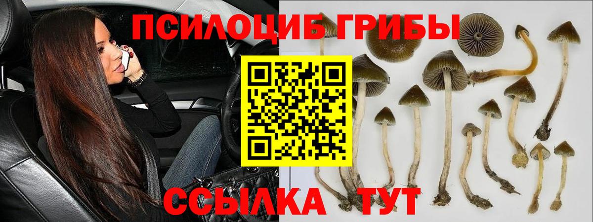 Галлюциногенные грибы мицелий  купить наркотики цена  Чебоксары 