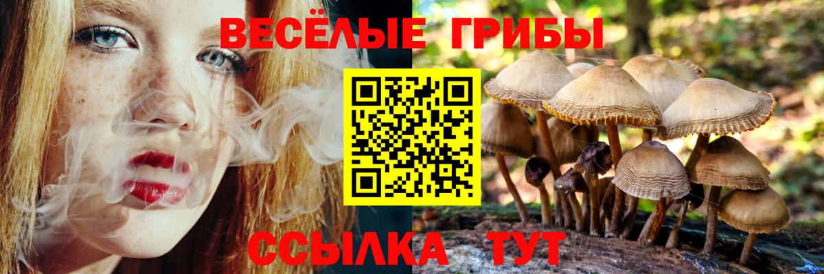 Псилоцибиновые грибы мухоморы Чебоксары